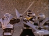 blackranger2.jpg